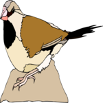 Bird 212 Clip Art