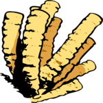 Coral 14 Clip Art