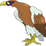 Eagle 66 Clip Art