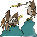 Vultures Clip Art