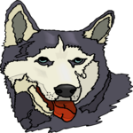 Siberian Husky 2 Clip Art