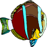 Clownfish Clip Art