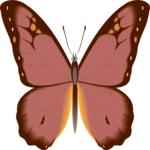 Butterfly 077 Clip Art