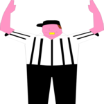 Referee 3