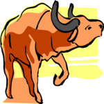 Water Buffalo 3