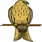 Falcon 04 Clip Art