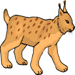 Bobcat 4 Clip Art