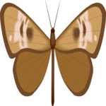 Moth 25 Clip Art