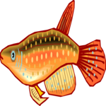 Killifish 06 Clip Art