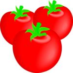 Tomatoes 11