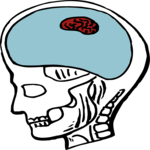 Brain - Tiny Clip Art