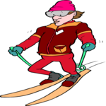 Skier 72