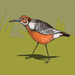 Bird 062 Clip Art