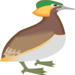 Duck 17 Clip Art