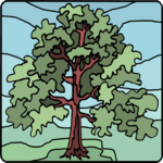 Tree 206 Clip Art