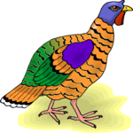 Turkey 11 Clip Art