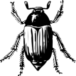 Antique Style Crawling Insect 4