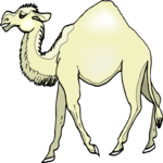 Camel 20 Clip Art