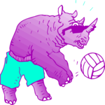 Volleyball - Rhino