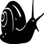 Snail 2 Clip Art