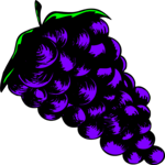 Grapes 48
