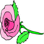 Rose 49