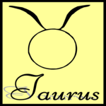 Taurus 17