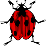 Ladybug 7 Clip Art