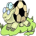 Soccer - Tortoise 2