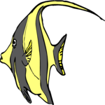 Angel Fish 03