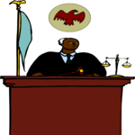 Judge 07