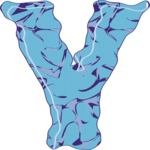 Crinkle Condensed Y 1