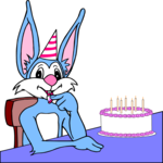 Rabbit Birthday