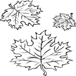 Maple Leaves 2 Clip Art