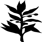 Plant - Silhouette 1