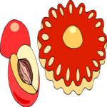 Pastry - Peach Clip Art