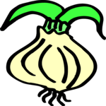 Onion 14 Clip Art