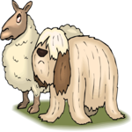 Sheep & Dog