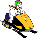 Snowmobiler - Bear