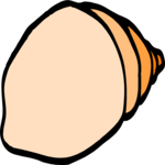 Sea Shell 55 Clip Art