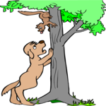 Dog Barking at Squirrel