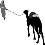 Man Leading Camel Clip Art