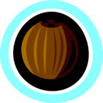 Coconut 2 Clip Art