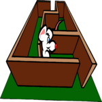 Psychology Experiment