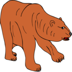 Bear 14