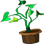 Plant 193