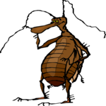 Bug 11 Clip Art