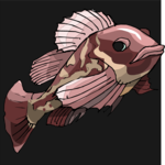 Fish 161 Clip Art