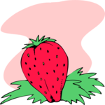 Strawberry 26