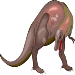 Gorgosaurus Libratus Clip Art